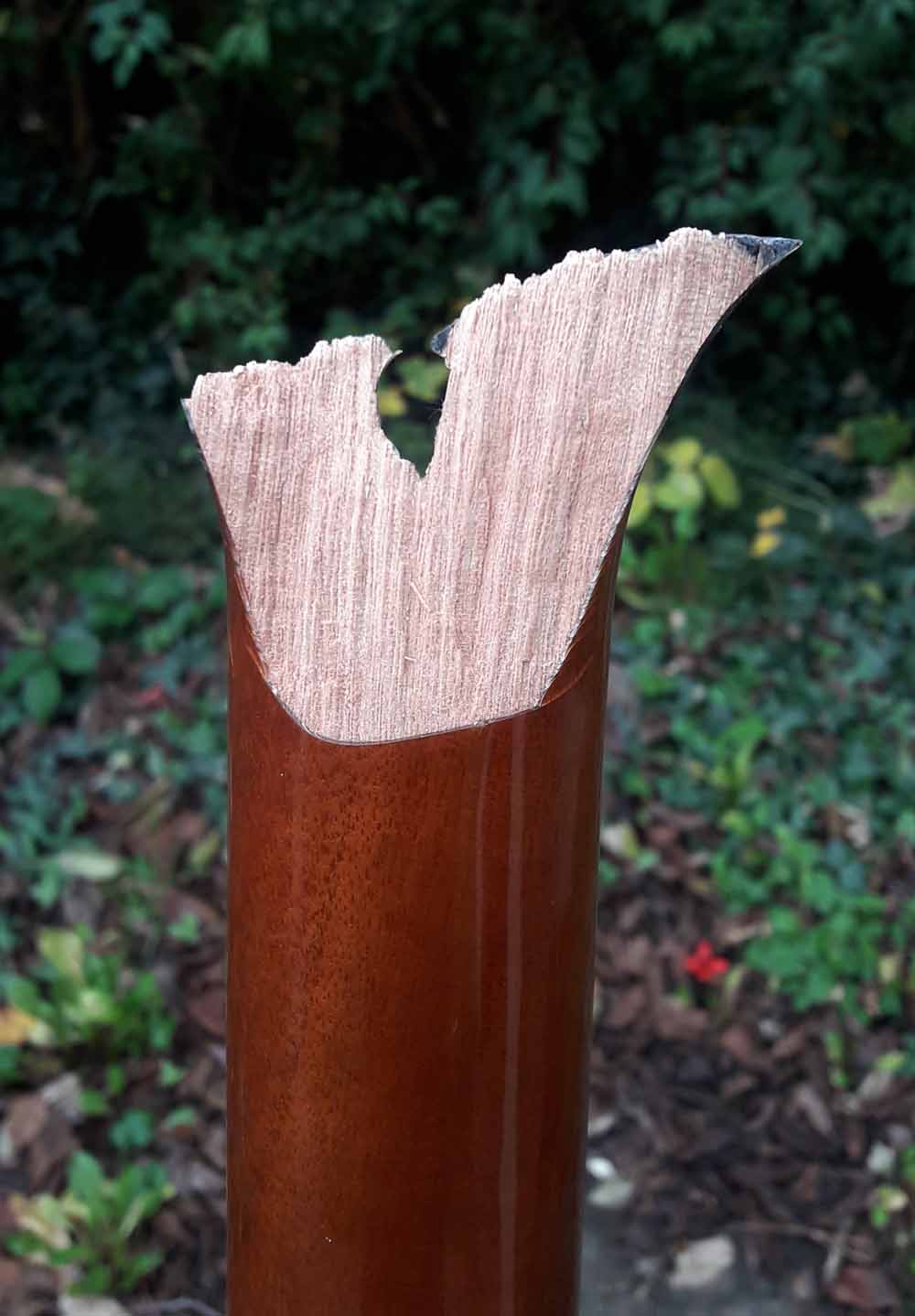 epiLP2