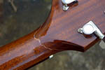 takamine3